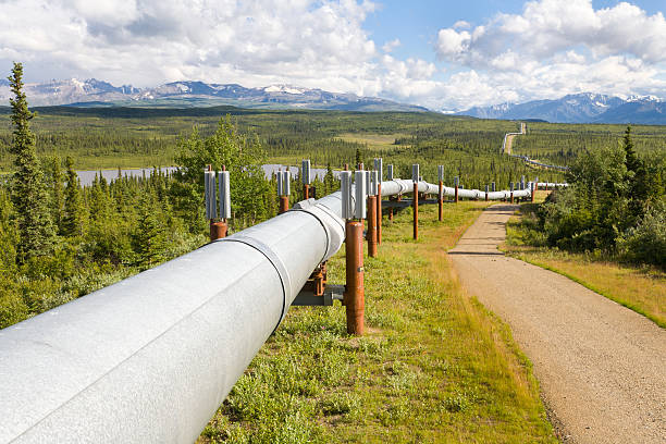 Arctic Pipeline Project