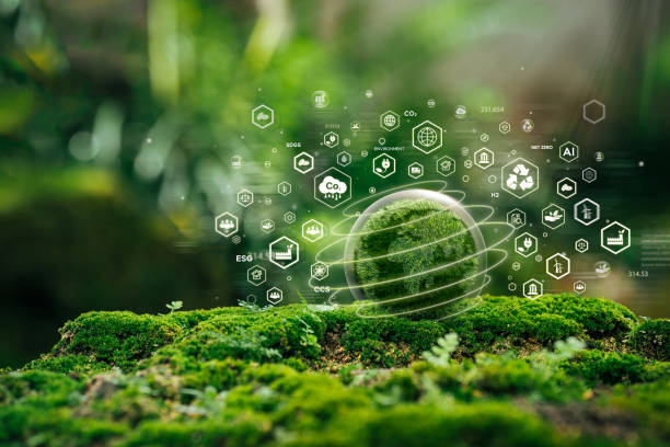 Environmental Protection in Pipeline Construction
